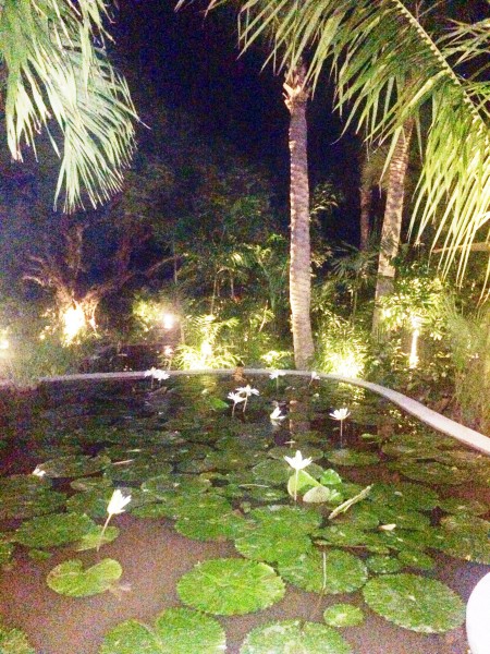 Lily ponds and palm trees adorn the landscape at the Tamarin