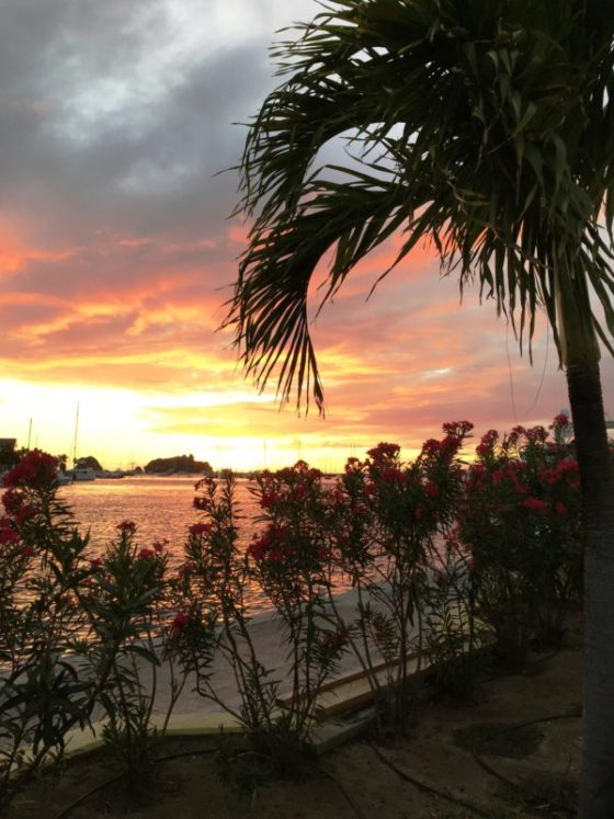 Gustavia sunset